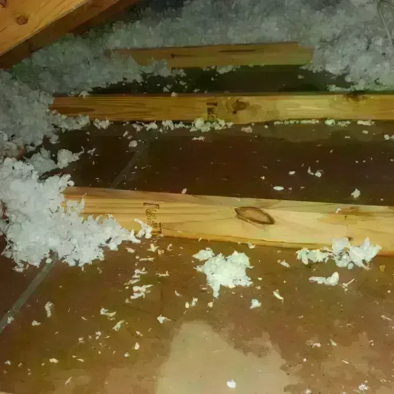 Attic Water Damage in Jeanerette, LA